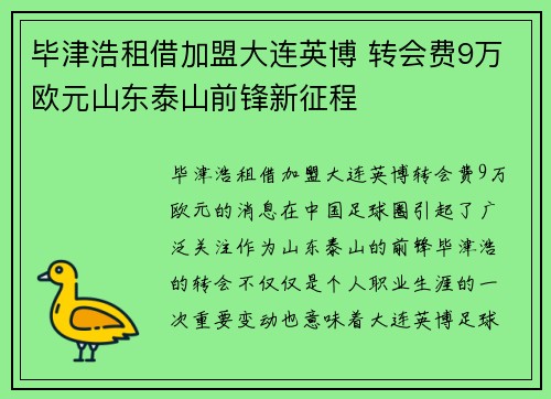 毕津浩租借加盟大连英博 转会费9万欧元山东泰山前锋新征程